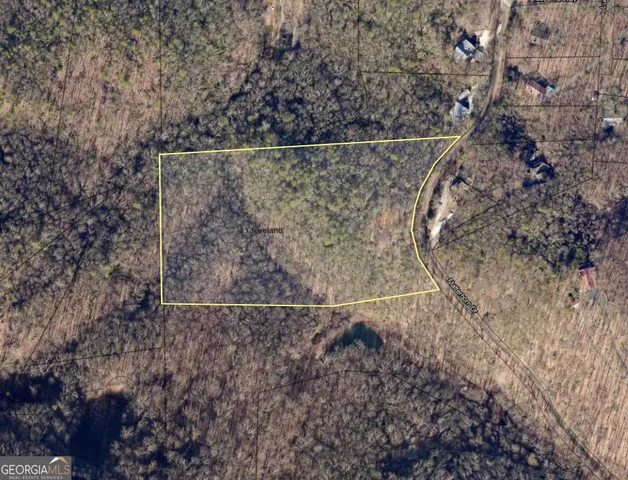 a view of a dry yard