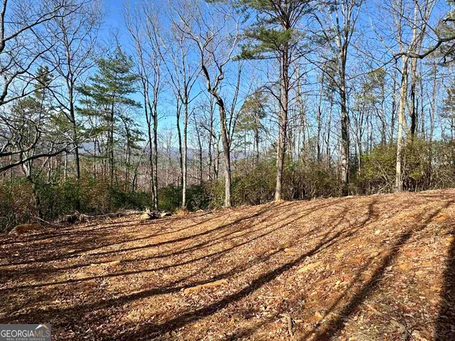 a space view with trees