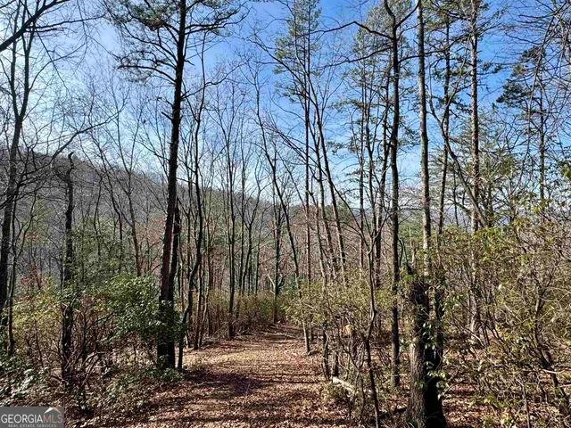 a view of backyard with green space