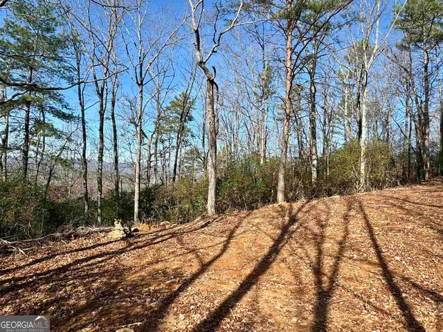a view of a backyard of the house