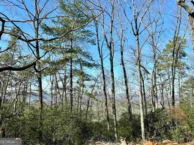 a backyard of a house with lots of trees