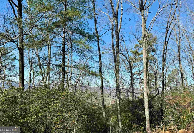a backyard of a house with lots of trees and plants