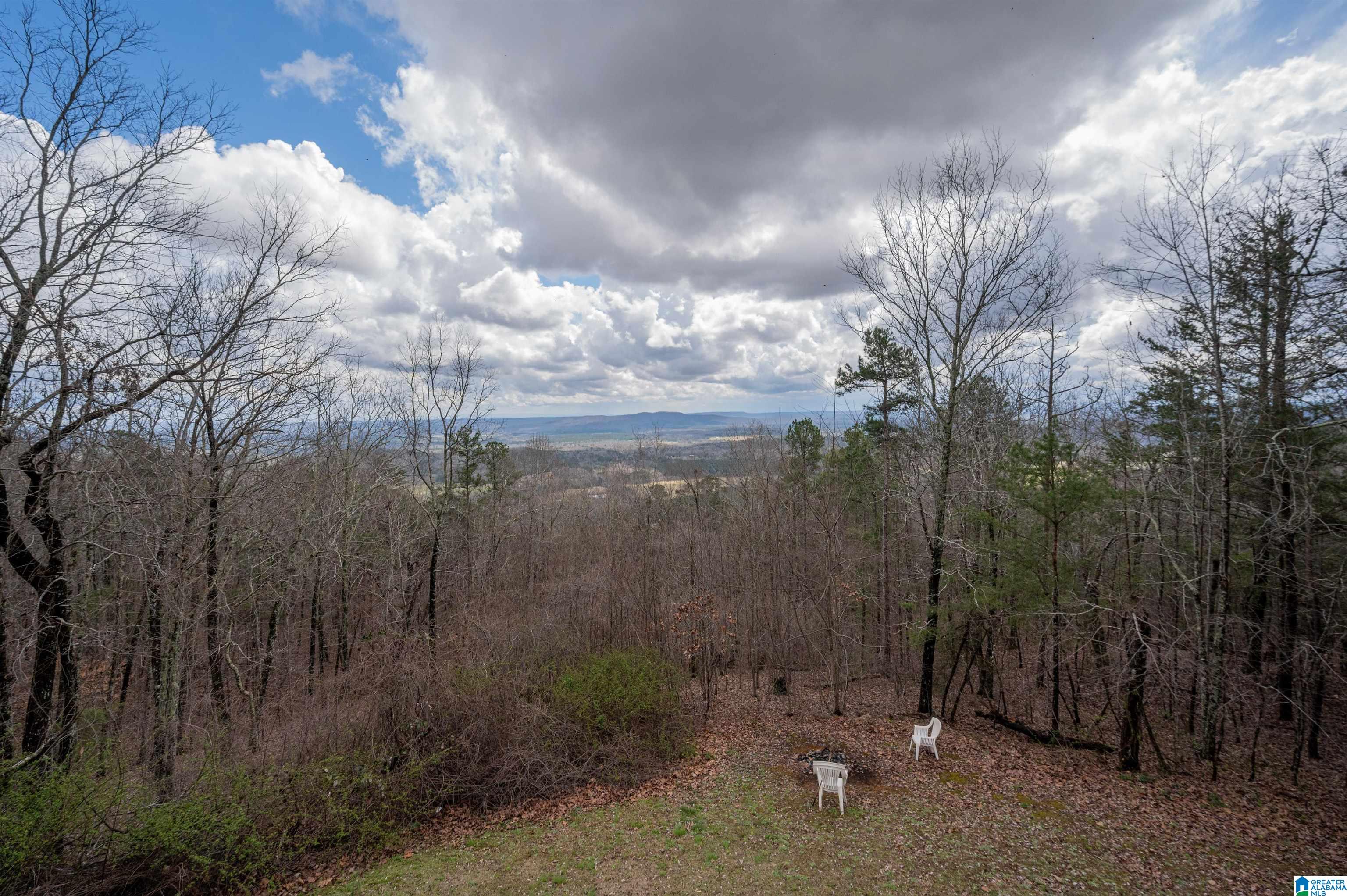 4076 Co Highway 24 Springville, AL 35146 - Photo 4 of 50