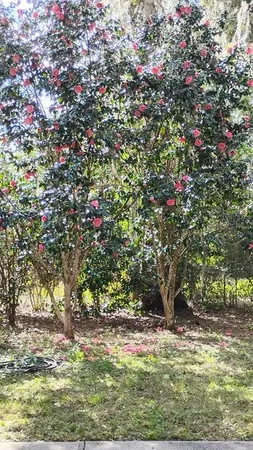 $274,000 | 8027 Northeast 55th Terrace, Gainesville, FL 32609