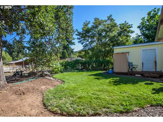 a view of a backyard with plants and trees