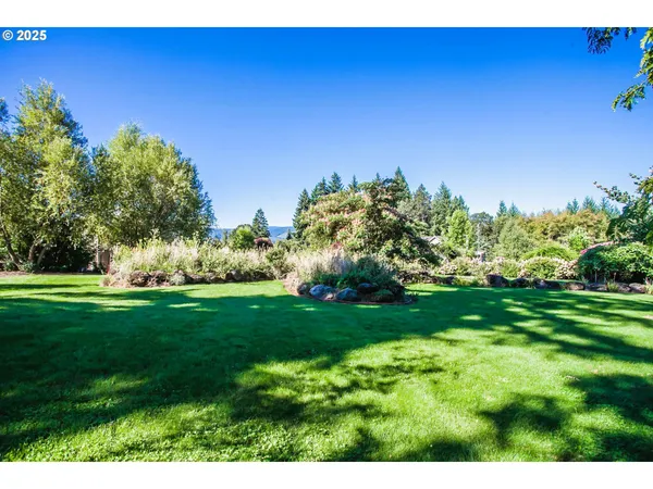 a backyard of a house with yard and trampoline