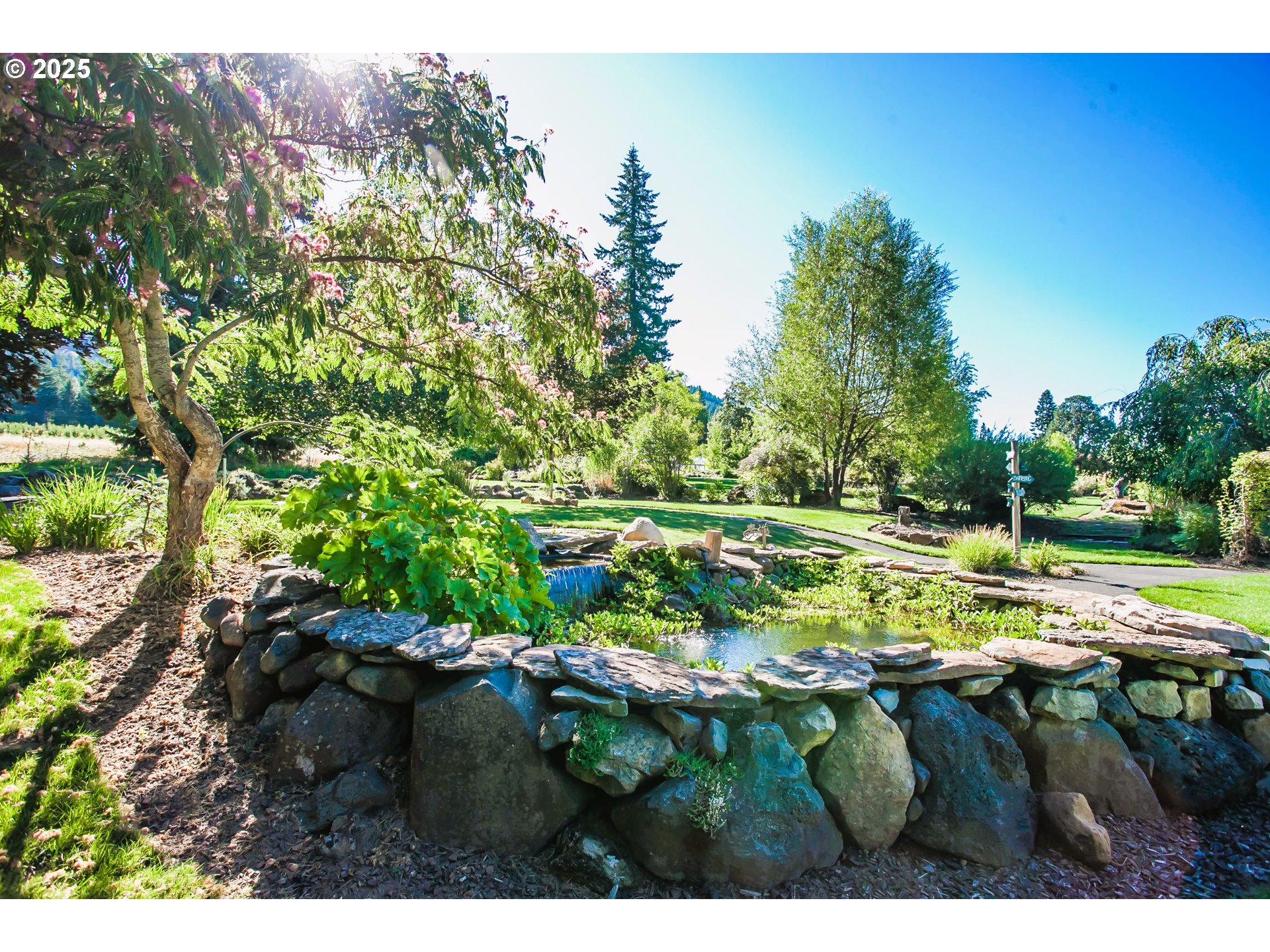 6270 Miller Road Mount Hood Parkdale, OR 97041 - Photo 24 of 48 a view of yard with green space