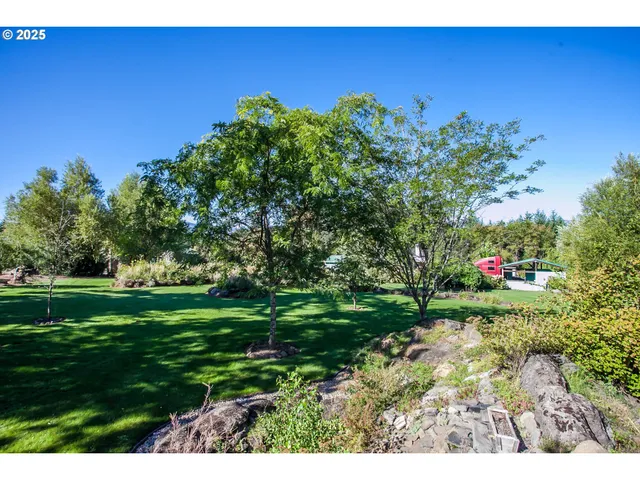 a view of a backyard