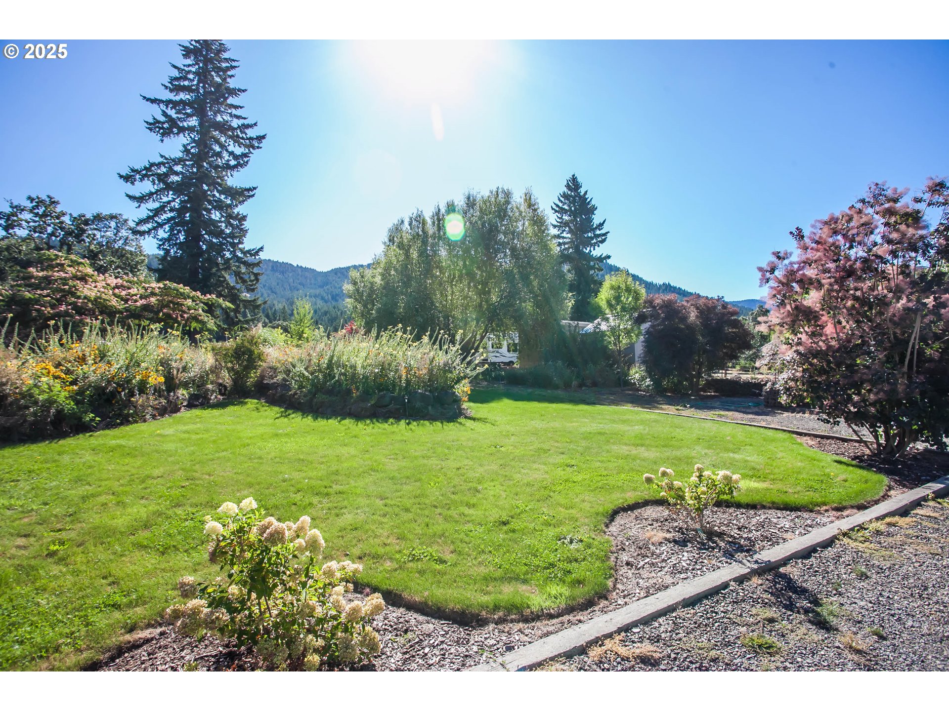 6270 Miller Road Mount Hood Parkdale, OR 97041 - Photo 28 of 48 a view of a backyard