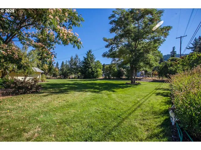 a view of a park with large trees