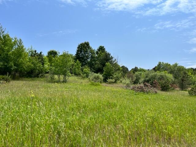 Vl Linderman Road Onekama, MI 49675 - Photo 3 of 7 20230613144206542092000000-o