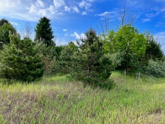 Vl Linderman Road Onekama, MI 49675 - Photo 5 of 7 20230613144209405951000000-o