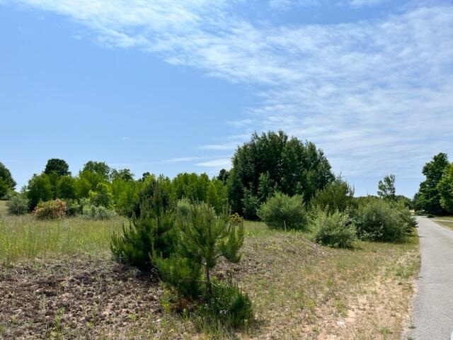 Vl Linderman Road Onekama, MI 49675 - Photo 7 of 7 20230613145626071378000000-o (1)