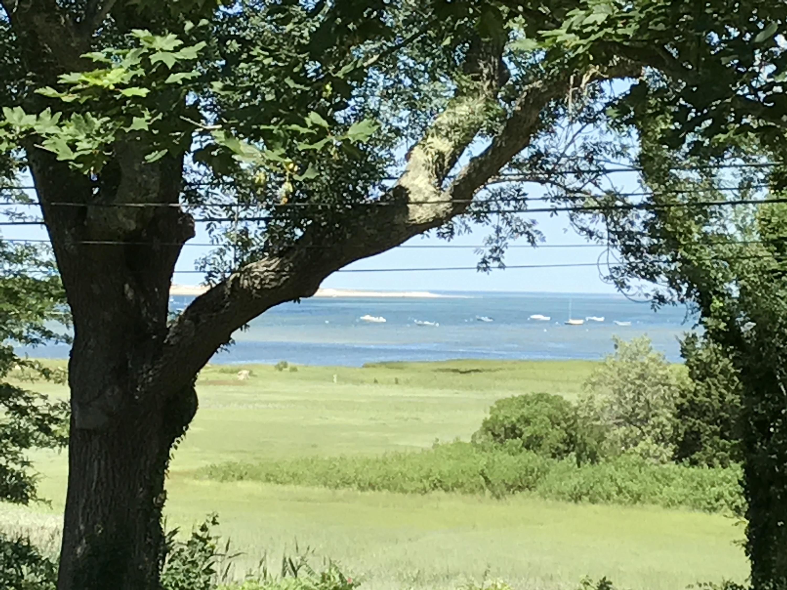 115 Rendezvous Lane Barnstable, MA 02630 - Photo 34 of 34 a view of yard with large trees