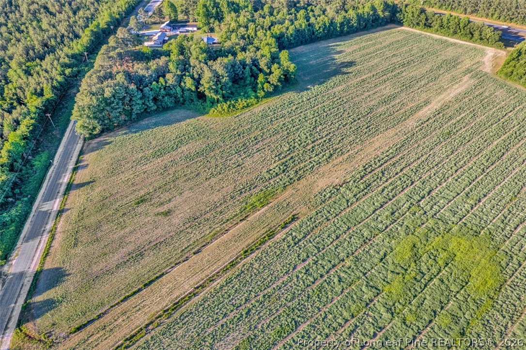 0 Pope Wray (lot 2) Road Turkey, NC 28393 - Photo 5 of 22
