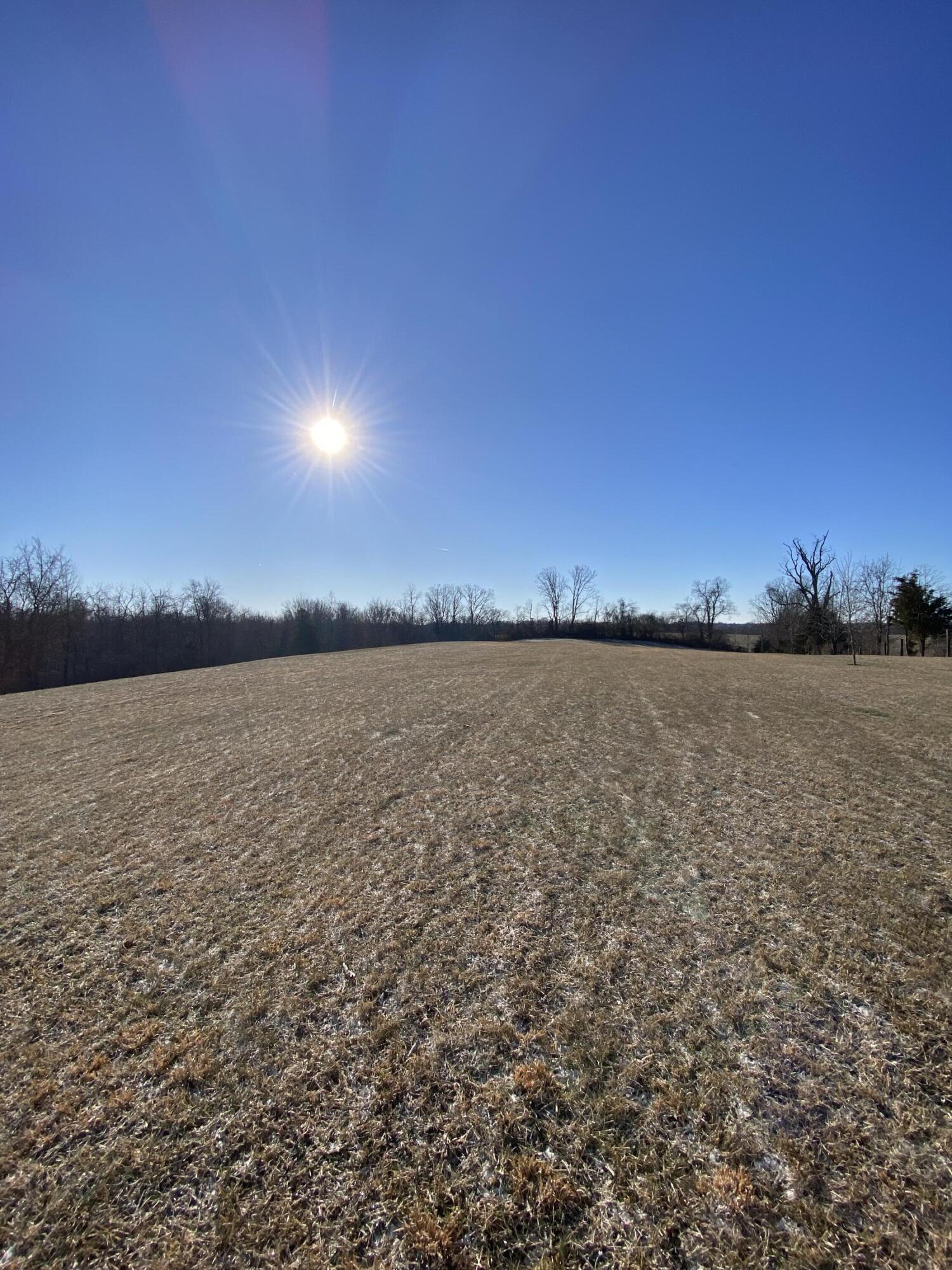 5-acres Baton Rouge Road Williamstown, KY 41097 - Photo 2 of 7