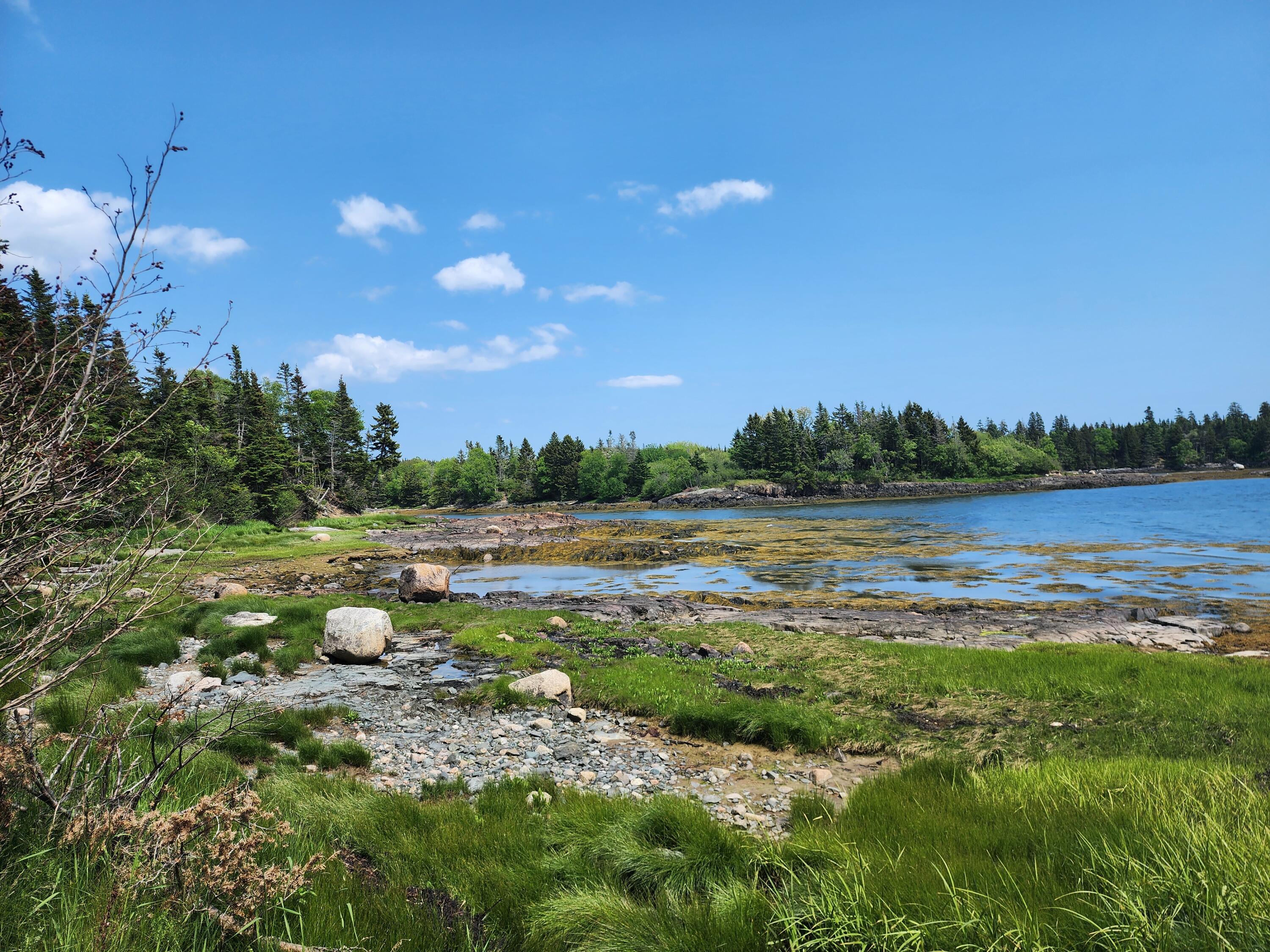 25 Chambers Point Road Roque Bluffs, ME 04654 - Photo 12 of 12 20250611_141334