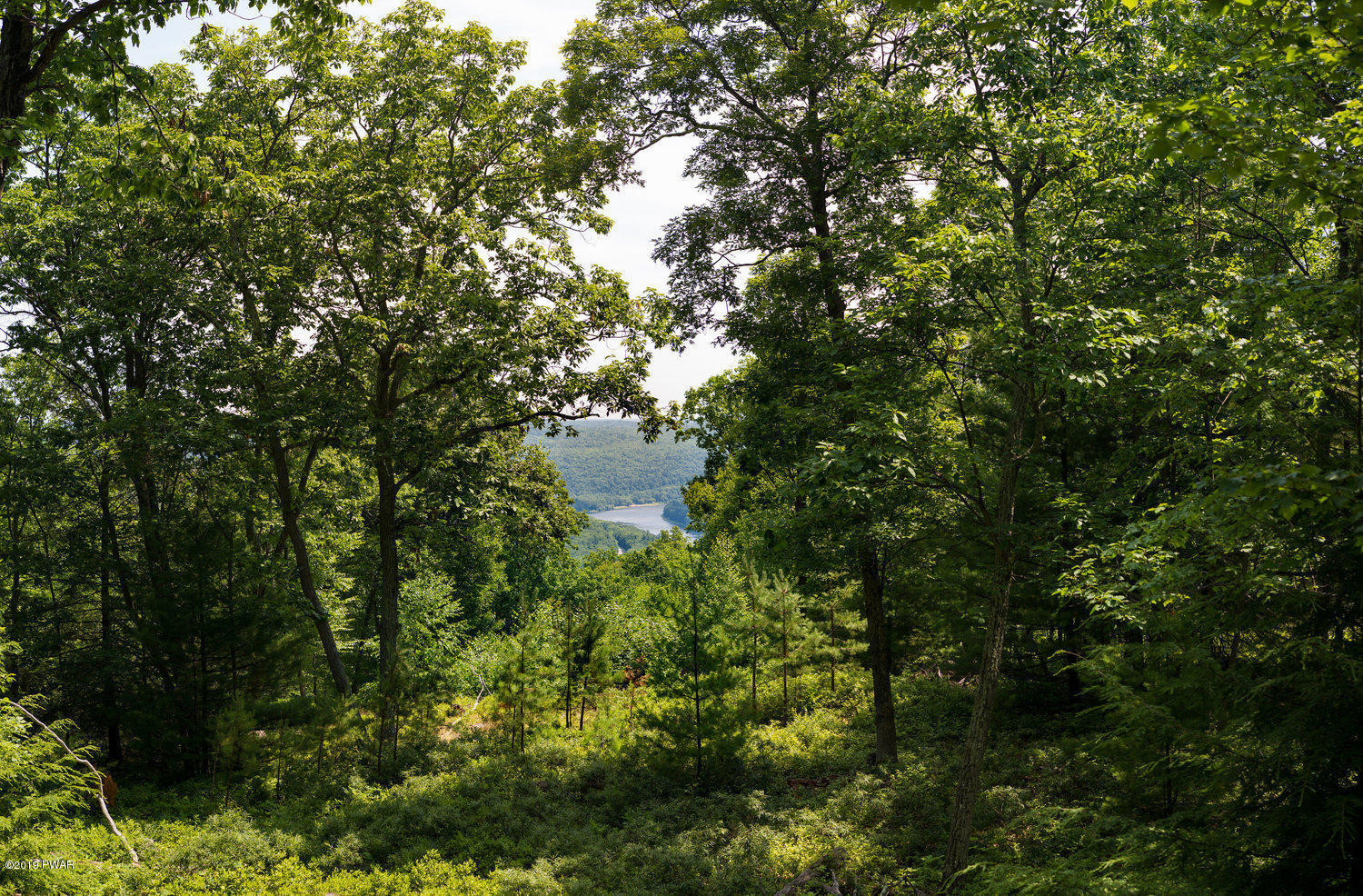 Lee Road Shohola, PA 18458 - Photo 12 of 37