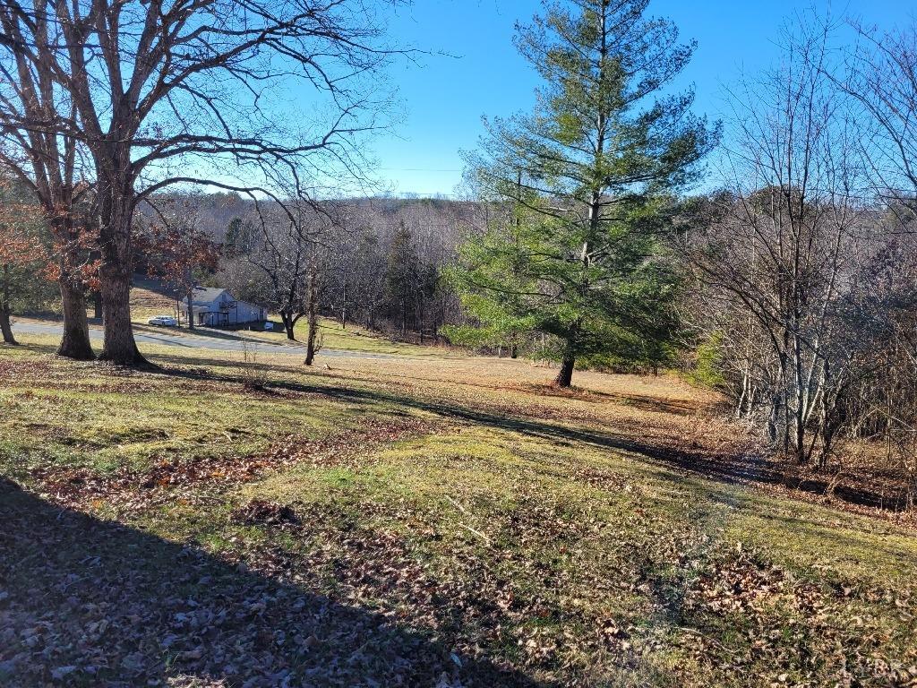 1025 Country Club Road Hurt, VA 24563 - Photo 5 of 15 a view of a yard with a tree