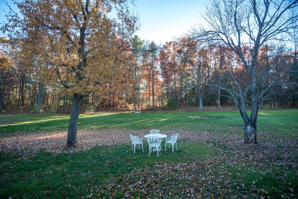 50 Mueller Road Holyoke, MA 01040 - Photo 23 of 30 a view of a park with large trees