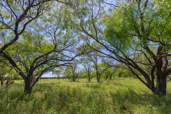 $412,500 | Undisclosed Address, Purmela, TX 76566