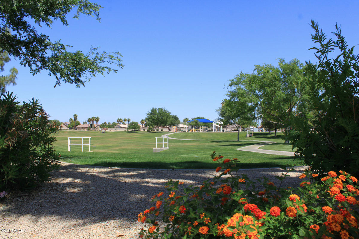 117 West Del Rio Street Gilbert, AZ 85233 - Photo 15 of 18 park2