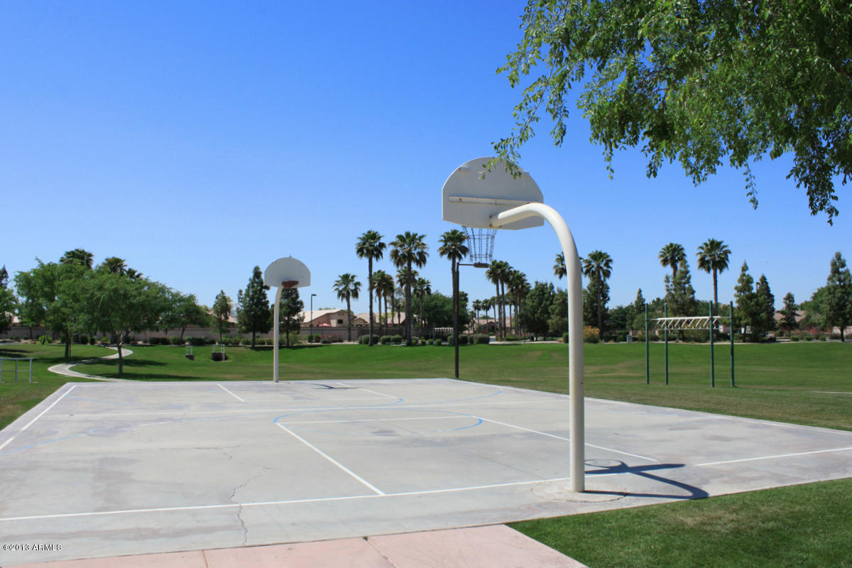 117 West Del Rio Street Gilbert, AZ 85233 - Photo 18 of 18 Basketball Court