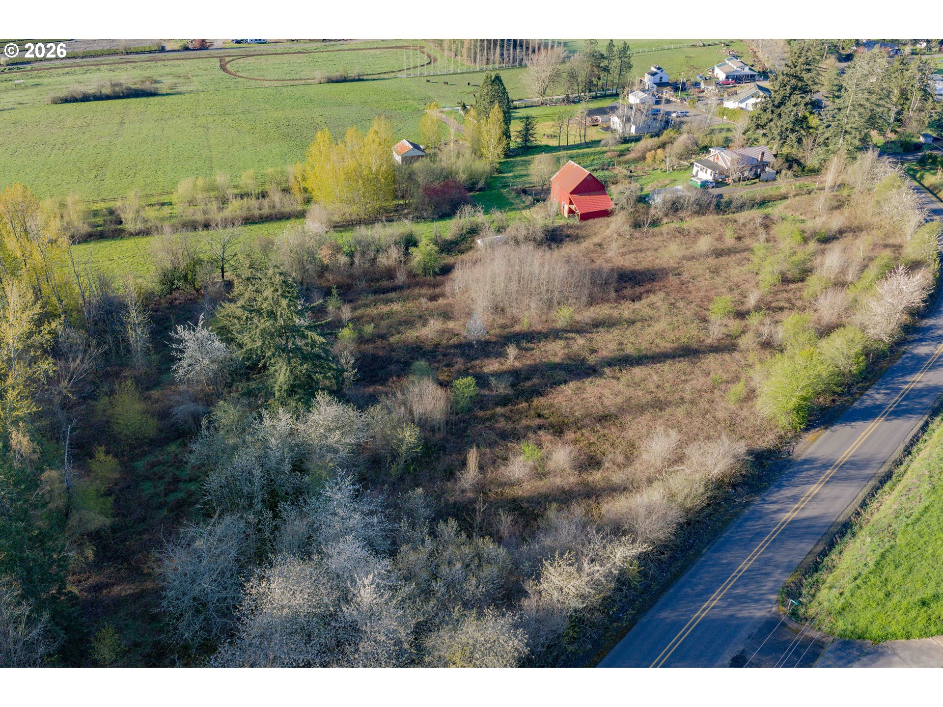 0 Southeast Borges Road Damascus, OR 97089 - Photo 4 of 5