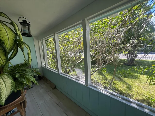 a view of a garden with plants