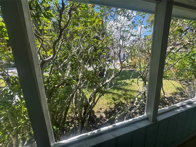 a view of a garden from a window