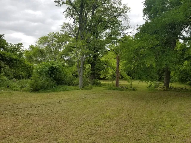 a view of a field with trees in background