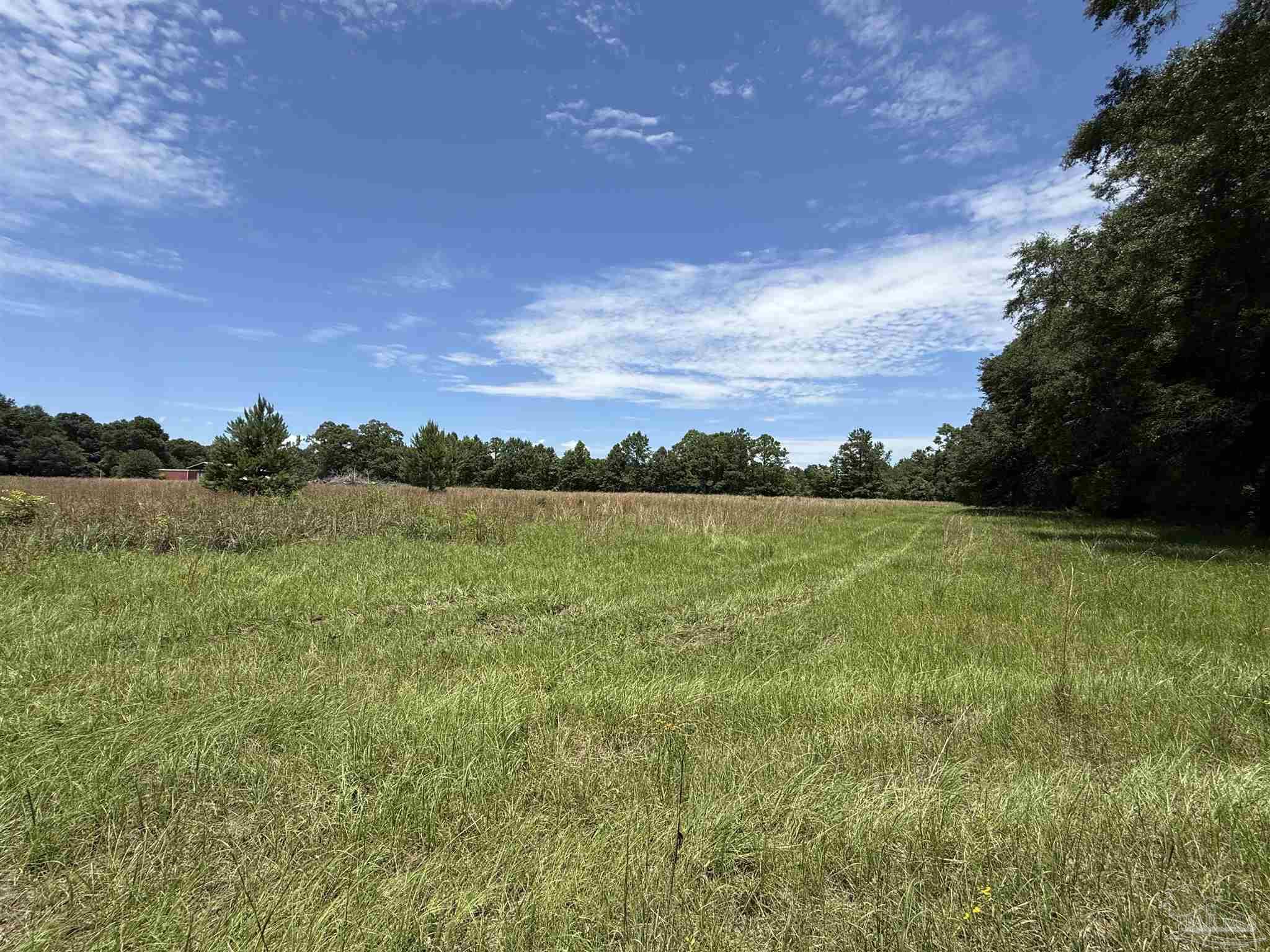 296 Salters Lake Road Century, FL 32535 - Photo 8 of 34