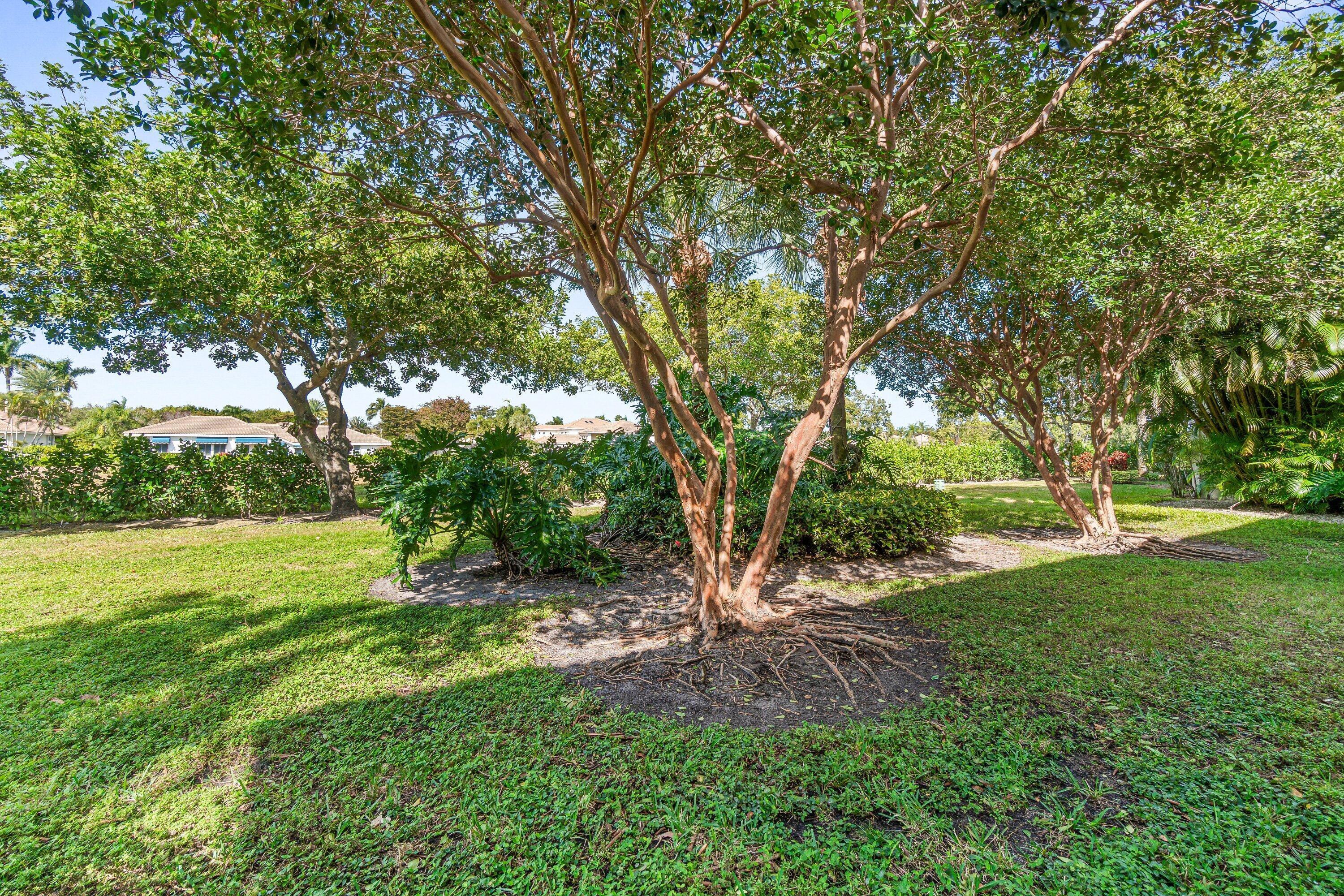 6229 Graycliff Drive, Unit D Boca Raton, FL 33496 - Photo 28 of 49 Garden view