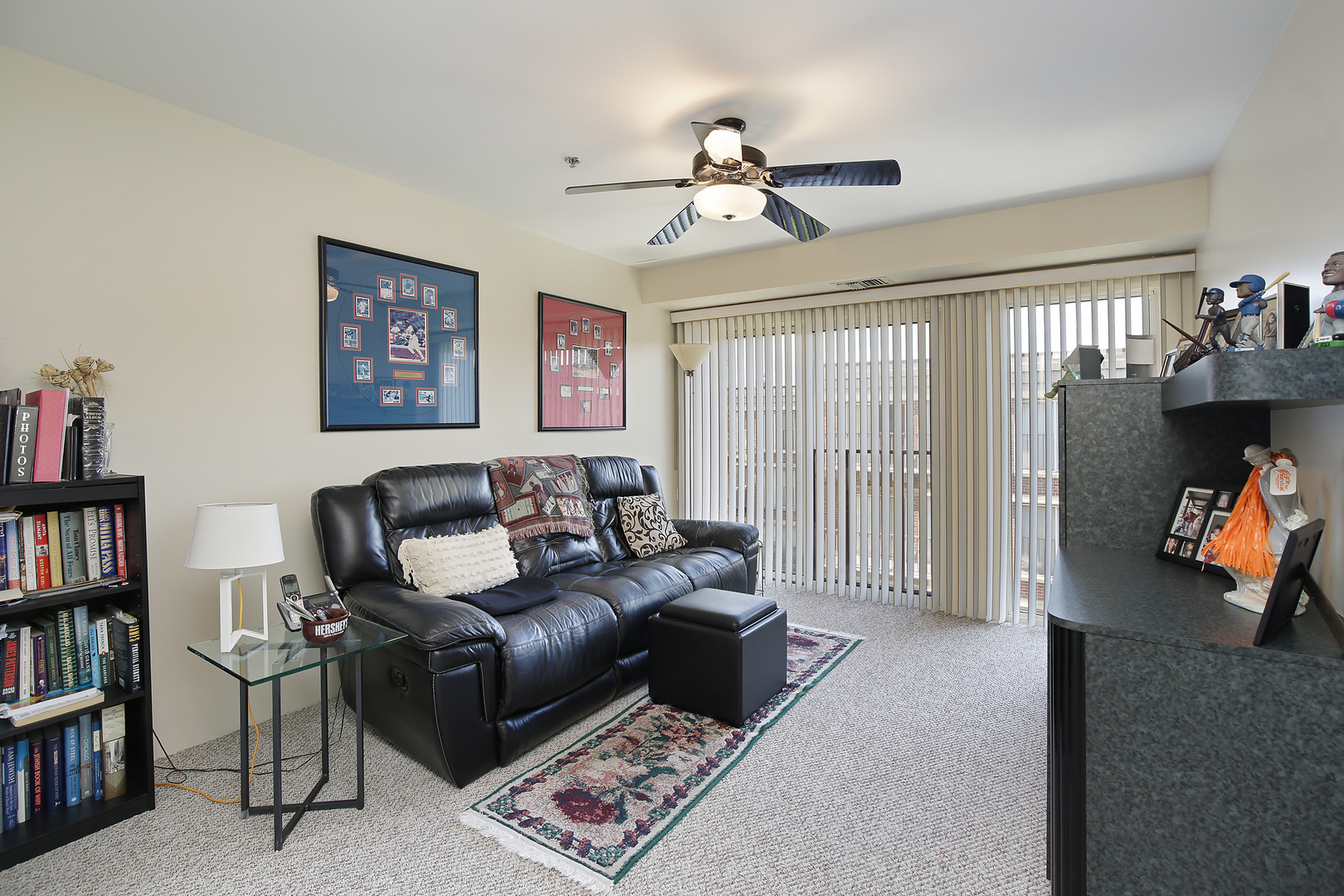412 Kelburn Road, Unit 313 Deerfield, IL 60015 - Photo 10 of 12 Gallery Image 10