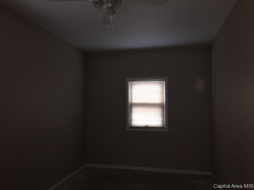 315 East North Street Roodhouse, IL 62082 - Photo 7 of 13 Gallery Image 7