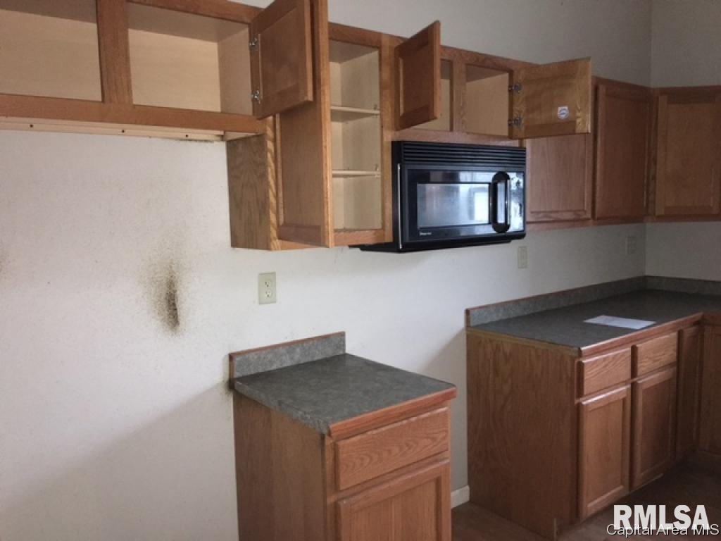 315 East North Street Roodhouse, IL 62082 - Photo 9 of 13 Gallery Image 9