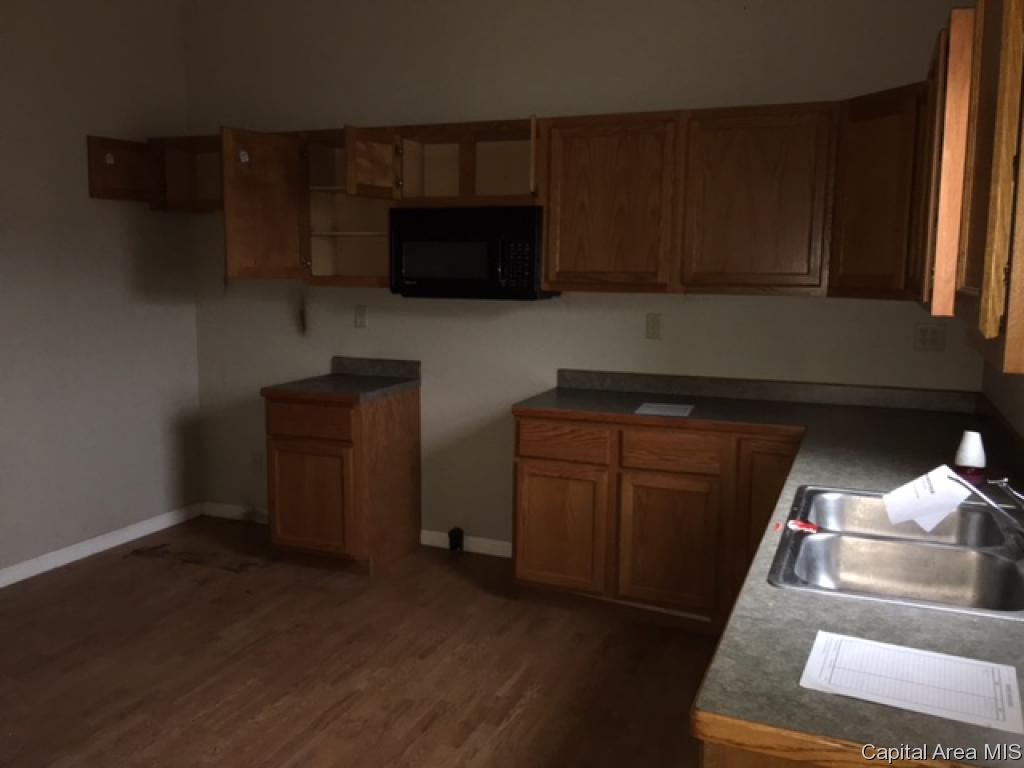 315 East North Street Roodhouse, IL 62082 - Photo 10 of 13 Gallery Image 10