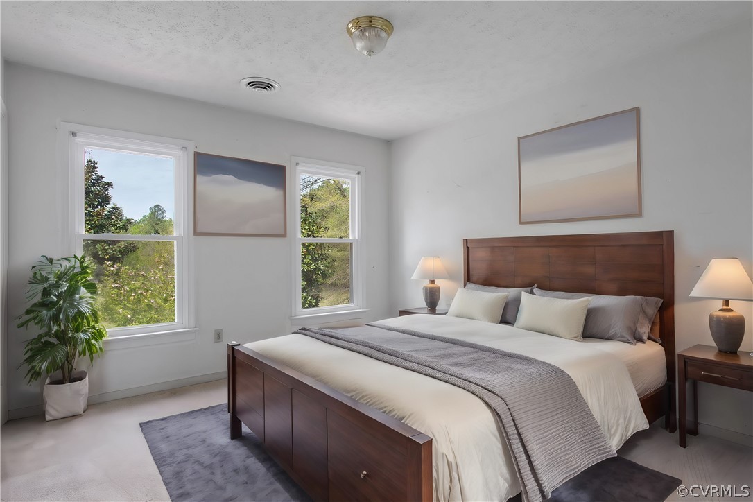 3800 Bailey Farm Road Moseley, VA 23120 - Photo 18 of 48 a bedroom with a bed and a potted plant