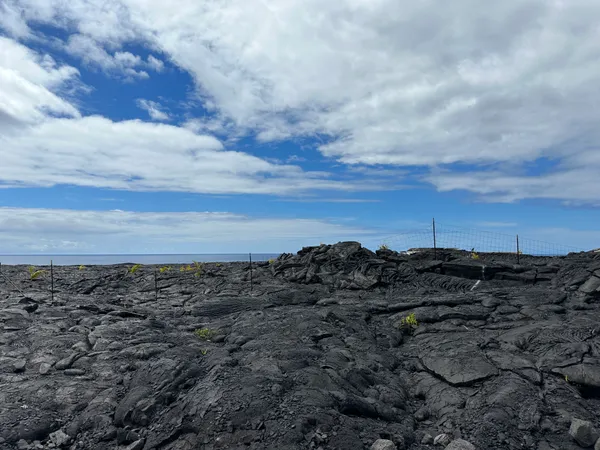 $7,000 | 102 Lot, Pahoa, HI 96778