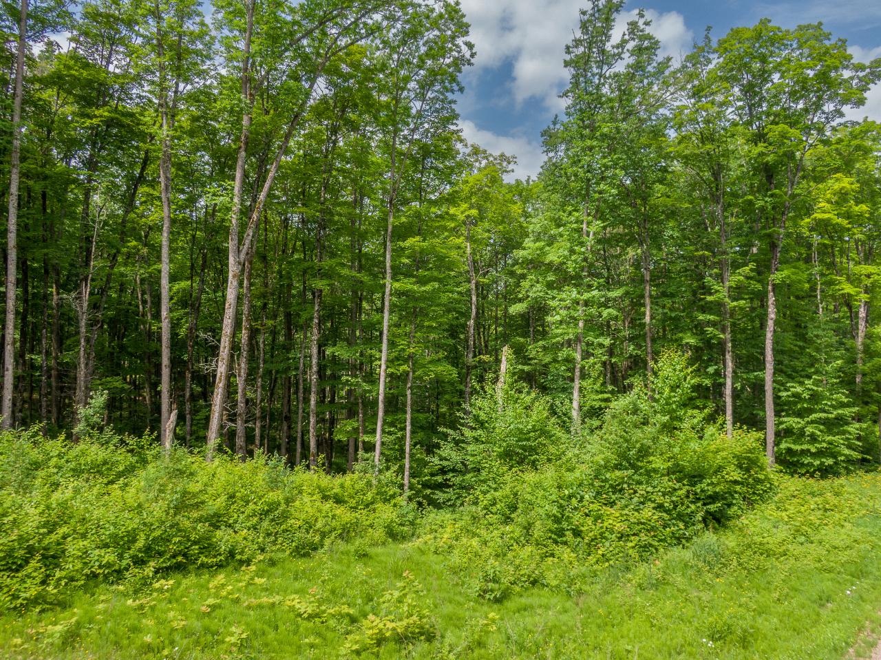 Off Pomeroy Lk Road, Unit LOT 27 Marenisco, MI 49947 - Photo 8 of 28 Gallery Image 8