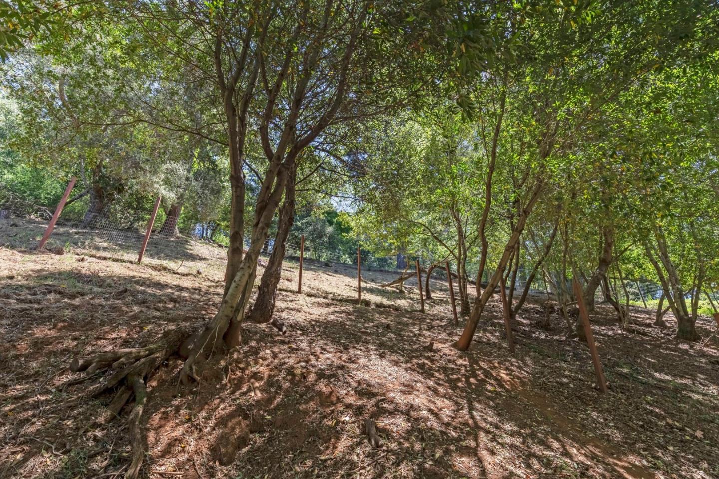 21477 Old Mine Road Los Gatos, CA 95033 - Photo 29 of 35