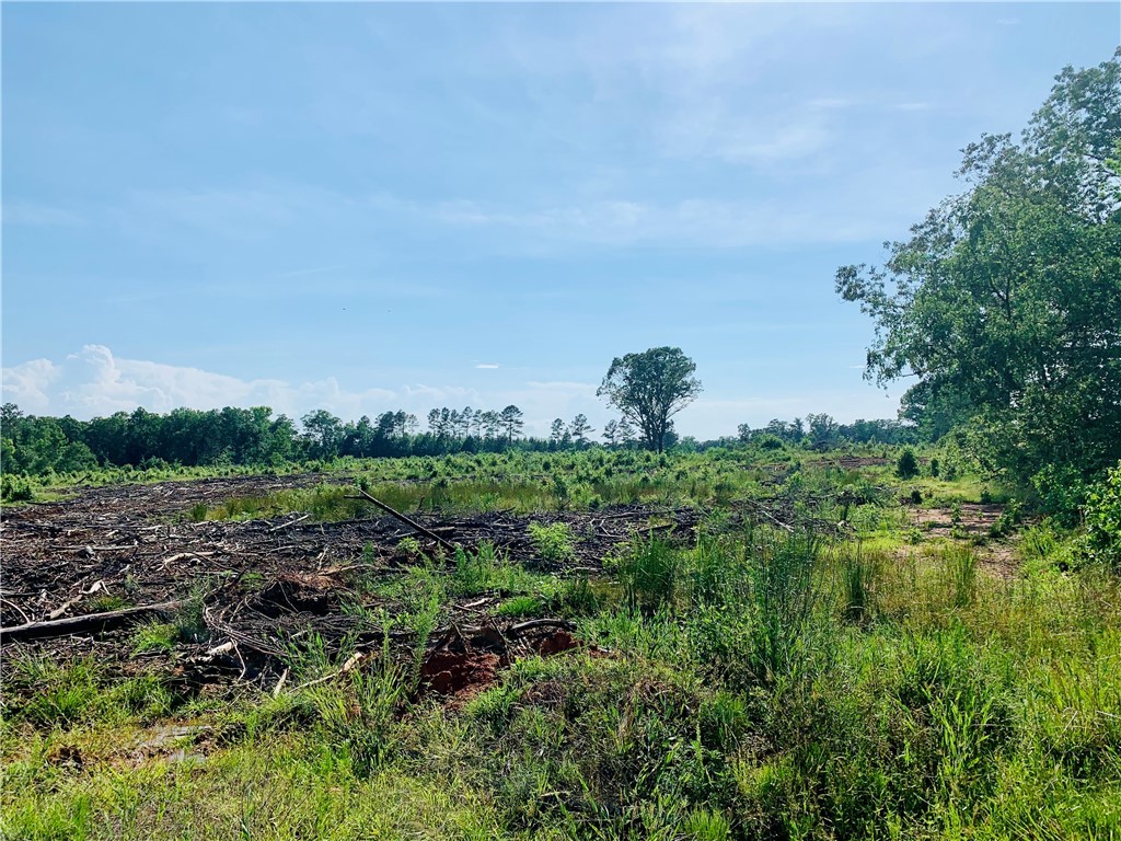 0 Bulls Horne Road Abbeville, SC 29620 - Photo 4 of 16 Gallery Image 4