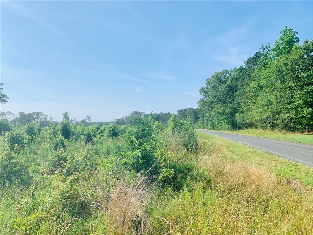 0 Bulls Horne Road Abbeville, SC 29620 - Photo 8 of 16 Gallery Image 8