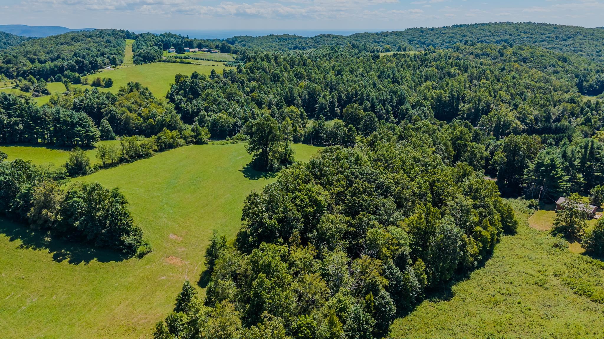 Tbd Free Union Road Meadows Of Dan, VA 24120 - Photo 10 of 21 Gallery Image 10