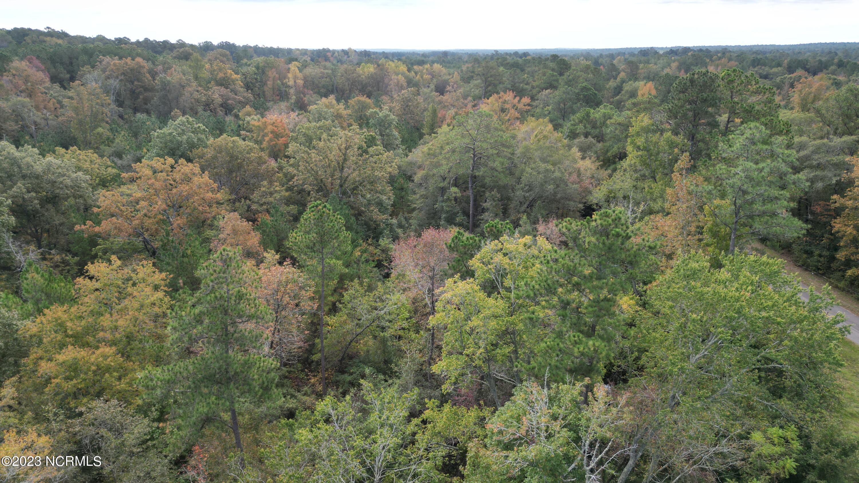 18.33-acre McPherson Road Vass, NC 28394 - Photo 21 of 39 DJI_0122