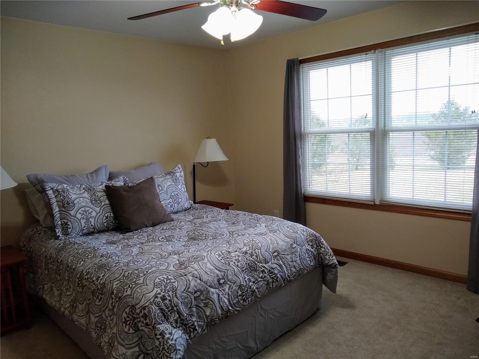 9770 Lilac Road St. Jacob, IL 62281 - Photo 34 of 65