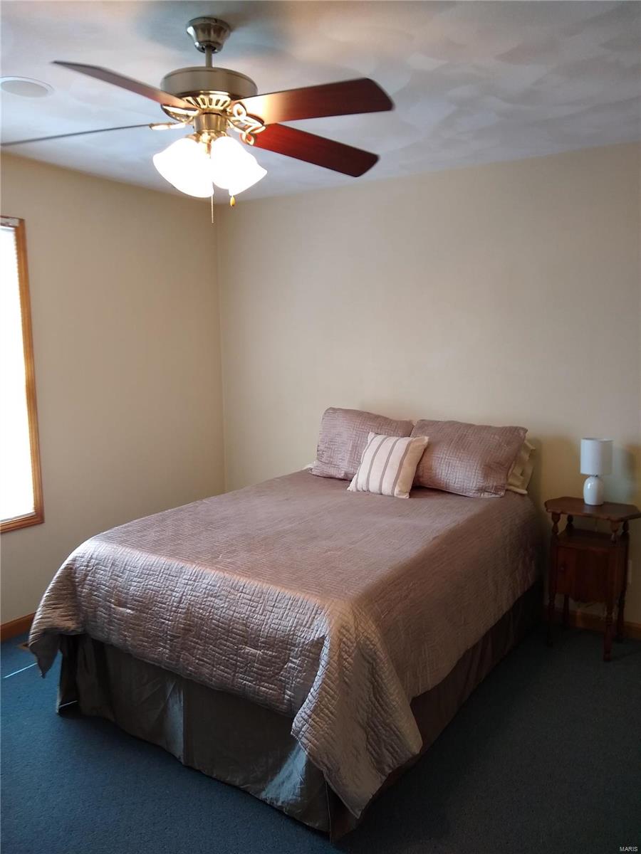 9770 Lilac Road St. Jacob, IL 62281 - Photo 39 of 65