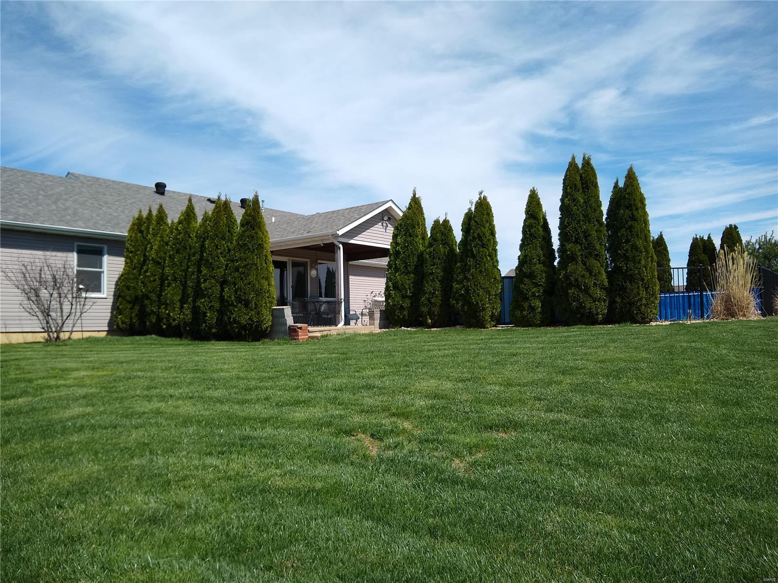 9770 Lilac Road St. Jacob, IL 62281 - Photo 9 of 65