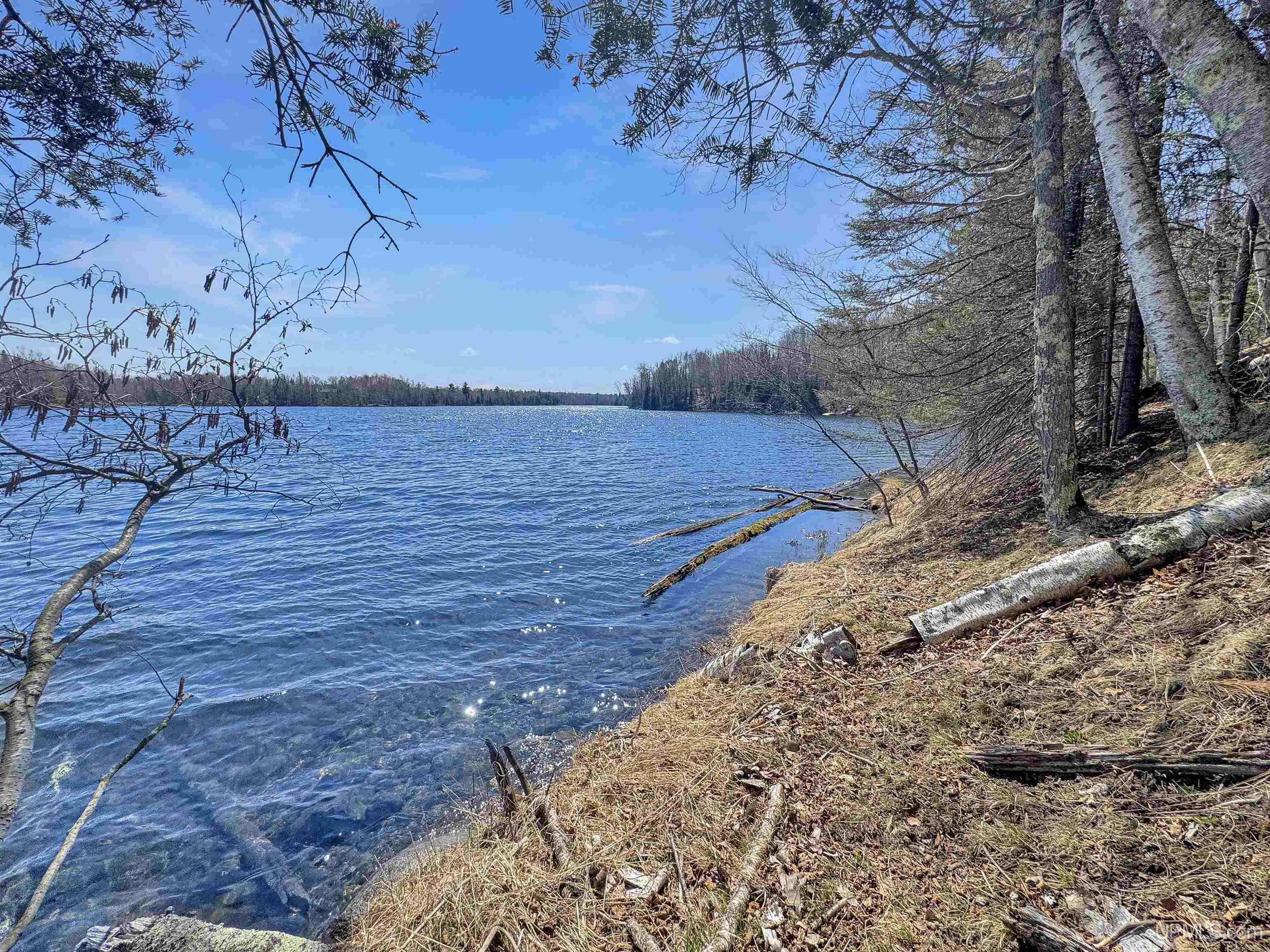 119 Maggie Lake Road Crystal Falls, MI 49920 - Photo 23 of 76