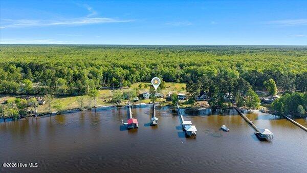 1922 Bella Coola Road Lake Waccamaw, NC 28450 - Photo 60 of 64 m_53_dji_20260402091849_0016_d